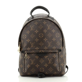Louis Vuitton Palm Springs Backpack Monogram Canvas PM