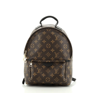 Louis Vuitton Palm Springs Backpack Monogram Canvas PM