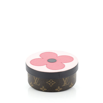 Louis Vuitton Eugenie Box Epi Leather and Monogram Eclipse Canvas MM