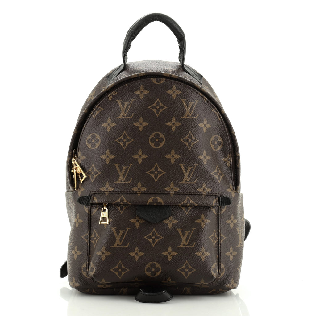 Louis Vuitton Palm springs backpack PM monogram Brown Cloth ref