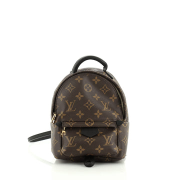 Louis Vuitton Palm Springs Backpack Monogram Canvas Mini