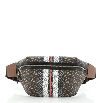 Bum Bag Monogram Stripe E-Canvas Medium