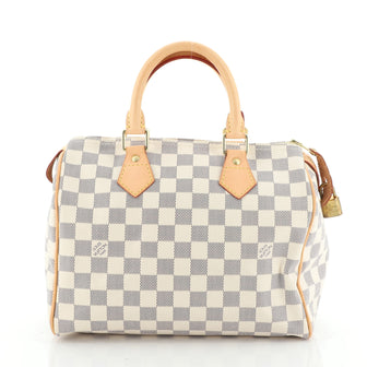 Speedy Handbag Damier 25