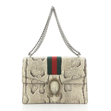 Gucci Web Dionysus Bag Python Medium