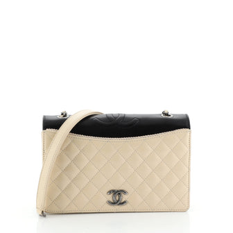 Chanel Ballerine Flap Bag Quilted Lambskin Small