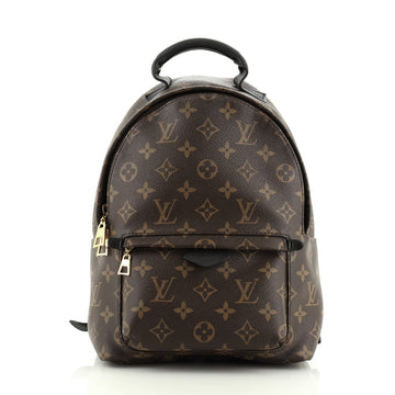 Louis Vuitton Palm Springs Backpack Monogram Canvas PM