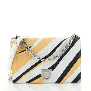 Christian Dior Diorama Flap Bag Printed Stitched Leather Large