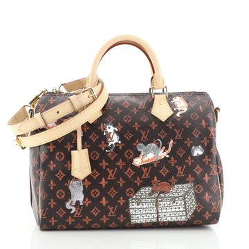 Louis Vuitton Speedy Bandouliere Bag Limited Edition Grace Coddington Catogram Canvas 30