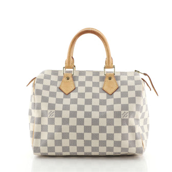 Louis Vuitton Speedy Handbag Damier 25
