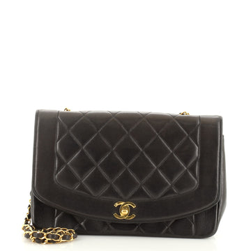 Chanel Vintage Diana Flap Bag Quilted Lambskin Medium