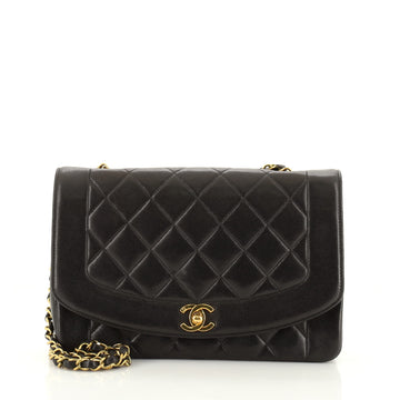 Chanel Vintage Diana Flap Bag Quilted Lambskin Medium