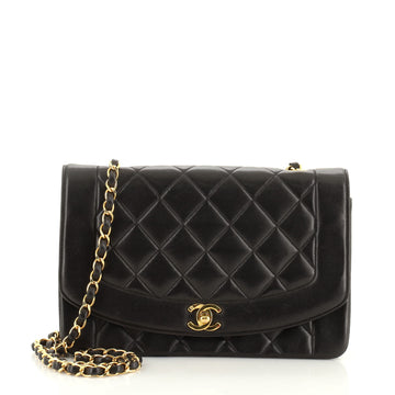 Chanel Vintage Diana Flap Bag Quilted Lambskin Medium