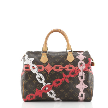 Louis Vuitton Speedy Handbag Limited Edition Bay Monogram Canvas 30