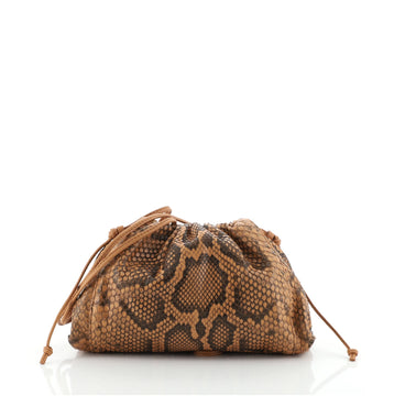 Bottega Veneta The Pouch Python Embossed Leather 20