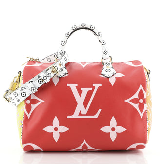 Louis Vuitton Speedy Bandouliere Bag Limited Edition Colored Monogram Giant 30