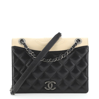 Chanel Ballerine Flap Bag Quilted Lambskin Medium
