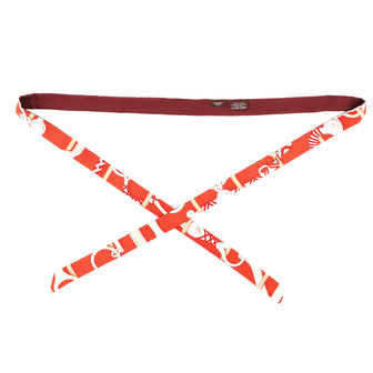 Hermes Panoplie Equestre Twillon Printed Silk