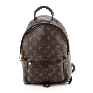 Louis Vuitton Palm Springs Backpack Monogram Canvas PM
