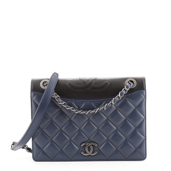 Chanel Ballerine Flap Bag Quilted Lambskin Medium