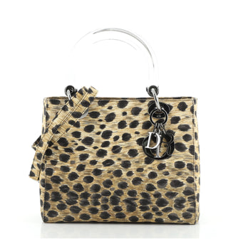 Christian Dior Vintage Lady Dior Bag Printed Canvas Medium