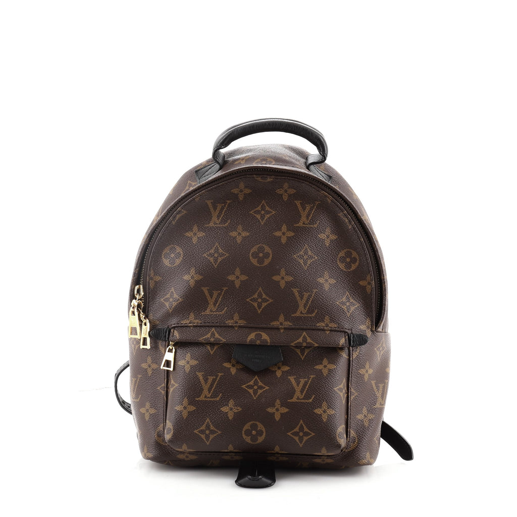 Louis Vuitton Palm Springs Backpack Backpack 365892