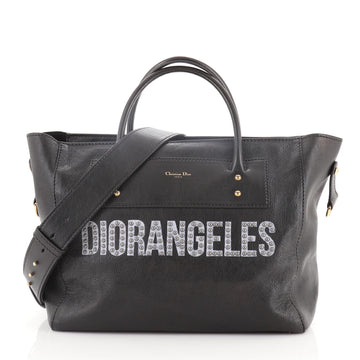Christian Dior DIORANGELES Tote Goatskin