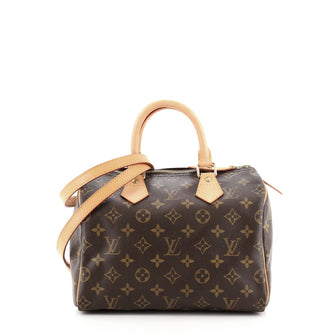 Louis Vuitton Speedy Handbag Monogram Canvas 25