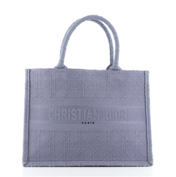 Christian Dior Book Tote Cannage Embroidered Canvas Small