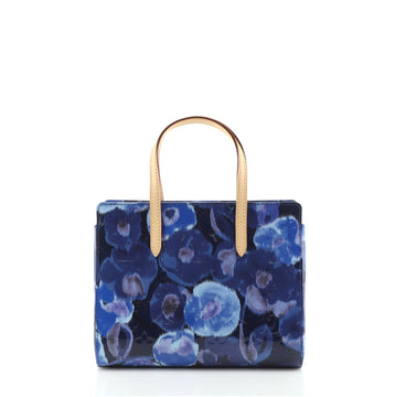 Louis Vuitton Catalina Handbag Limited Edition Monogram Vernis Ikat BB