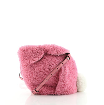 Loewe Rabbit Crossbody Bag Shearling Mini