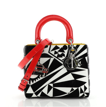 Christian Dior Lady Dior Bag Limited Edition Matthew Porter Printed Leather Medium