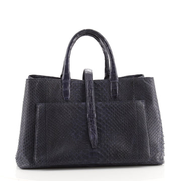 Nancy Gonzalez Astrid Tote Python with Crocodile Large