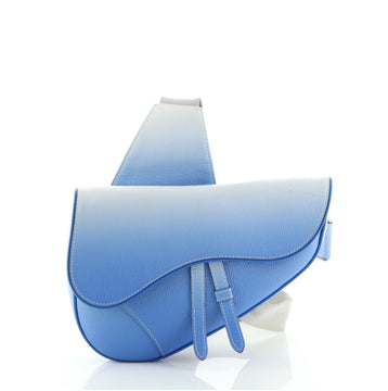 Christian Dior Saddle Messenger Pouch Ombre Leather