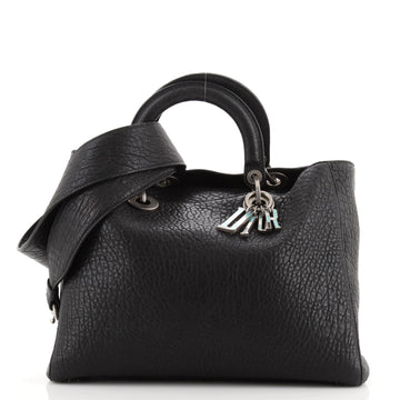 Christian Dior Lady Dior Bag Canyon Grained Lambskin with Mosaic Detail Large