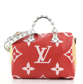 Louis Vuitton Speedy Bandouliere Bag Limited Edition Colored Monogram Giant 30