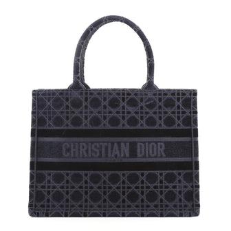 Christian Dior Book Tote Cannage Embroidered Velvet Small