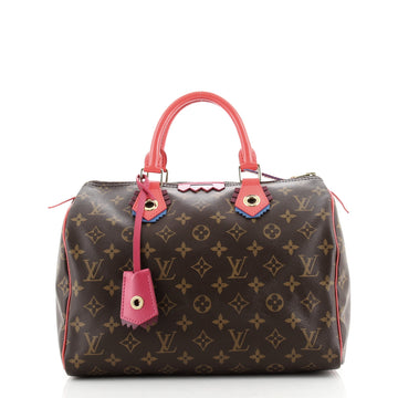 Louis Vuitton Speedy Handbag Limited Edition Totem Monogram Canvas 30