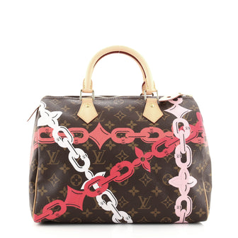 Louis Vuitton Speedy Handbag Limited Edition Bay Monogram Canvas 30