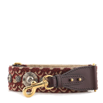 Christian Dior Shoulder Strap Embellished Oblique Canvas