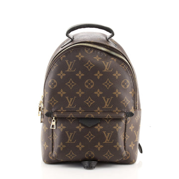 Louis Vuitton Palm Springs Backpack Monogram Canvas PM