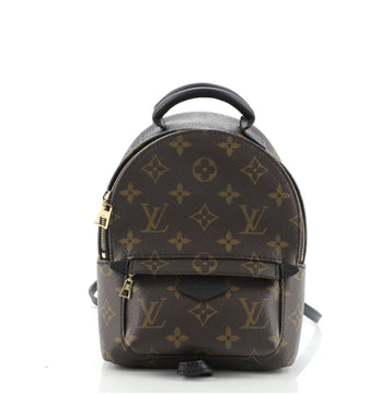 Louis Vuitton Palm Springs Backpack Monogram Canvas Mini