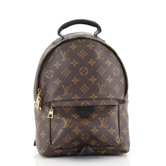 Louis Vuitton Palm Springs Backpack Monogram Canvas PM