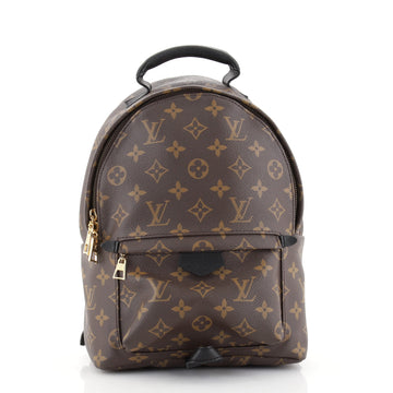 Louis Vuitton Palm Springs Backpack Monogram Canvas PM
