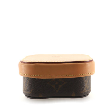Louis Vuitton Boite Camille Monogram Canvas and Leather PM