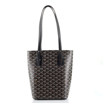 Goyard Marie Galante Bag Coated Canvas PM
