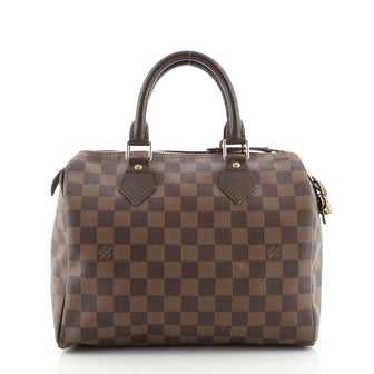 Louis Vuitton Speedy Handbag Damier 25