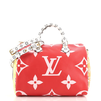 Louis Vuitton Speedy Bandouliere Bag Limited Edition Colored Monogram Giant 30