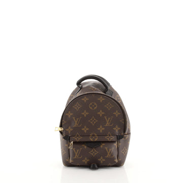 Louis Vuitton Palm Springs Backpack Monogram Canvas Mini