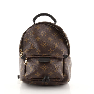 Louis Vuitton Palm Springs Backpack Monogram Canvas Mini