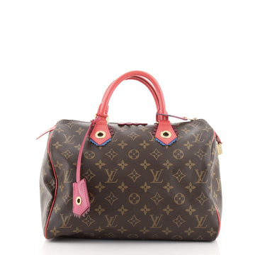 Louis Vuitton Speedy Handbag Limited Edition Totem Monogram Canvas 30